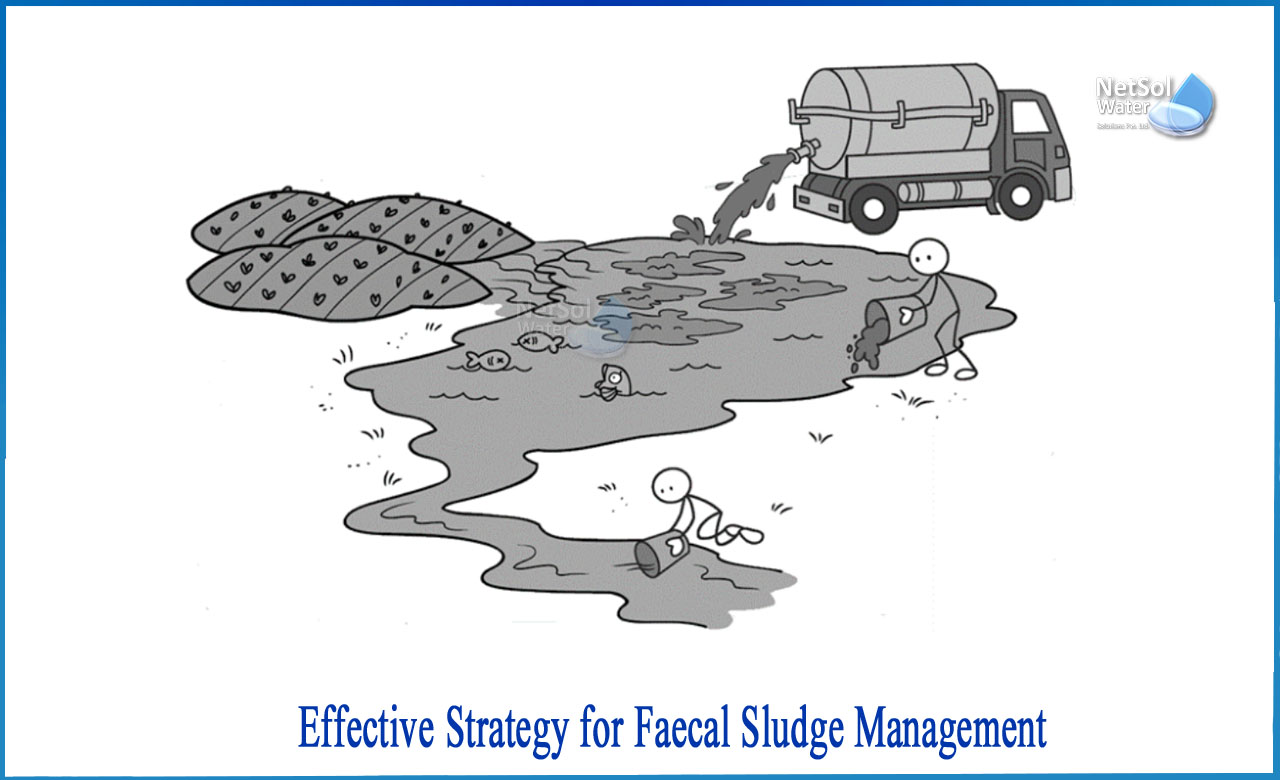What Is Faecal Sludge Management Netsol Water